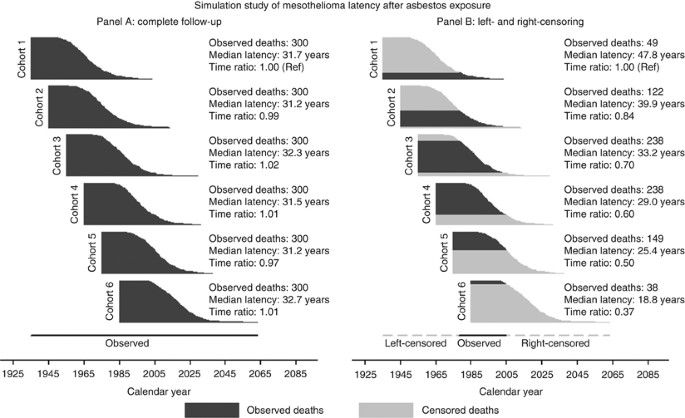 Information on Mesothelioma: Essential Facts and Updates